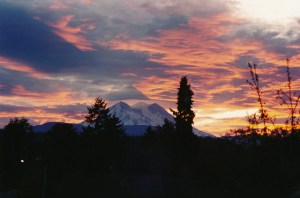 16067719365_cdd78a362e_z